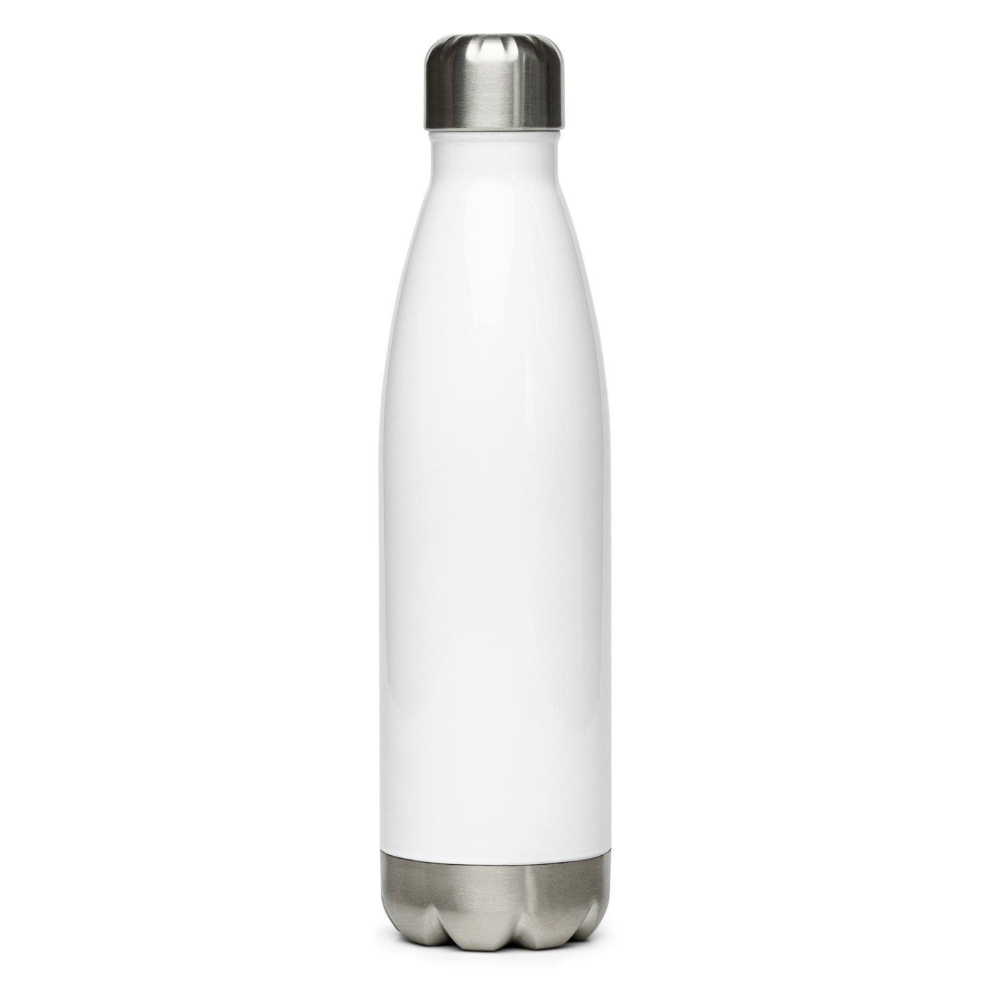 Curiosity City University Stainless Steel Water Bottle